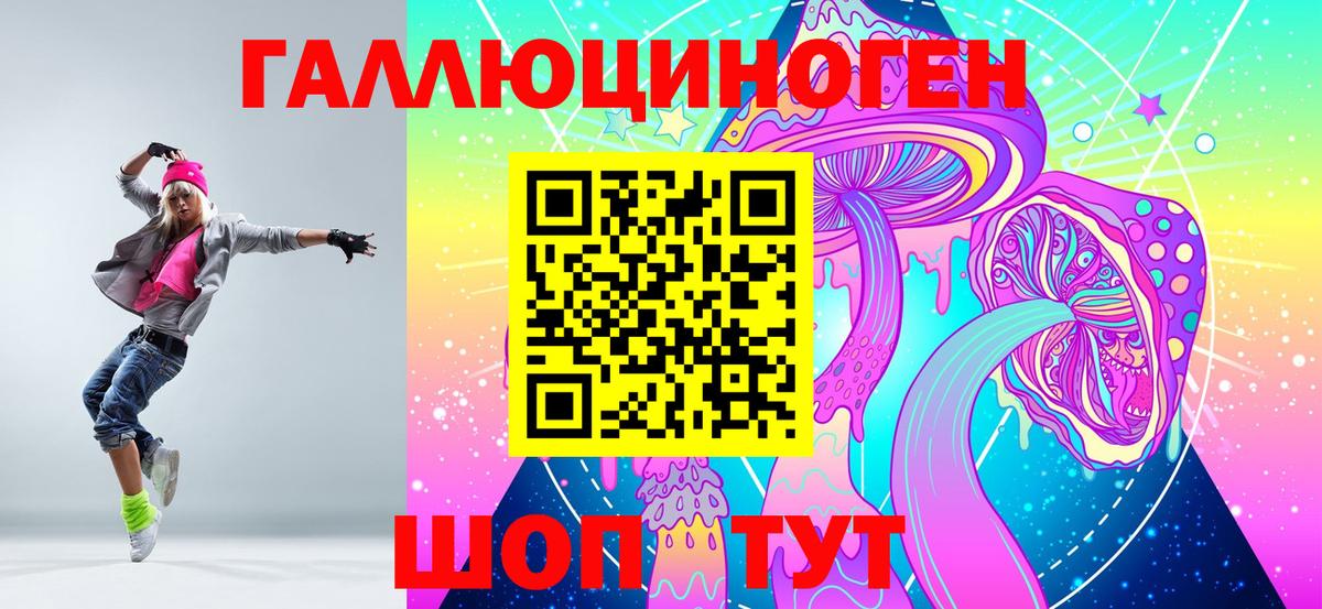 купить наркотики цена  Вход с VPN  Прохладный  Псилоцибиновые грибы Psilocybine cubensis 